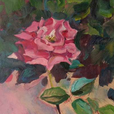 Роза чайная